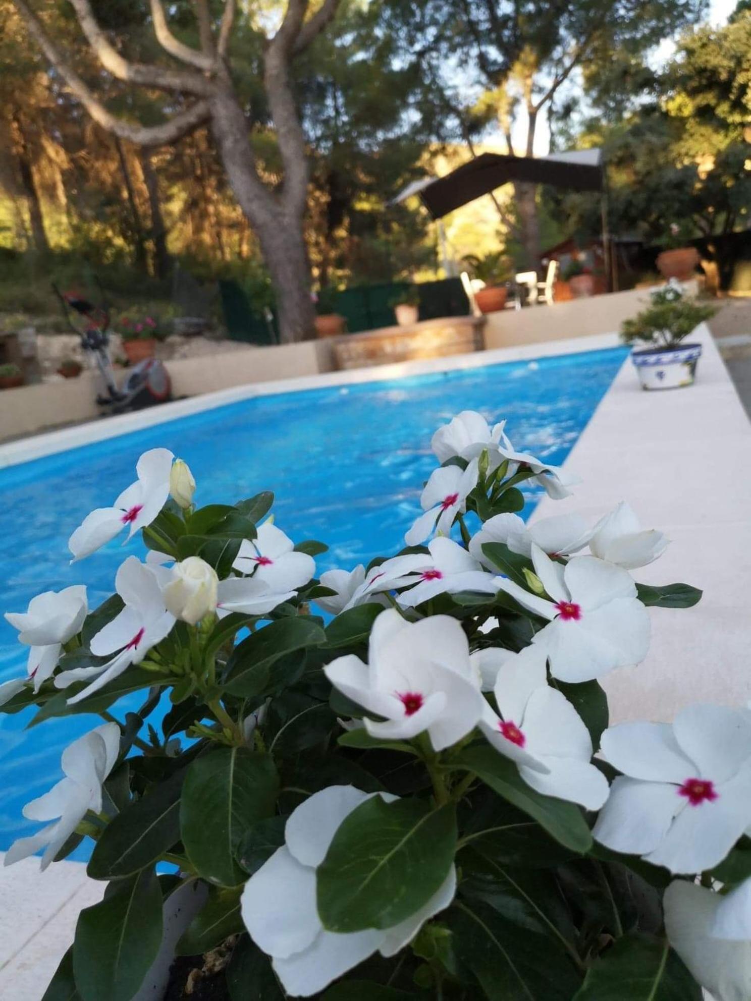 Casa Jetizo Bed & Breakfast Ontinyent Exterior foto