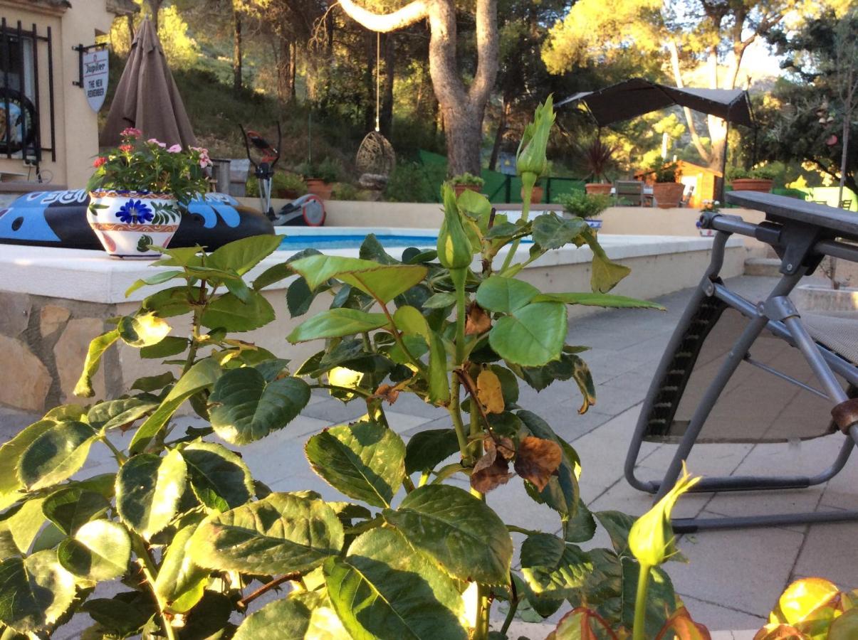 Casa Jetizo Bed & Breakfast Ontinyent Exterior foto