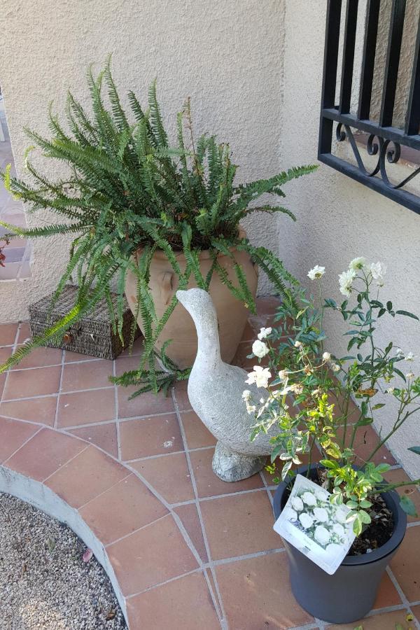 Casa Jetizo Bed & Breakfast Ontinyent Exterior foto